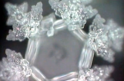 L'au Masuro Emoto